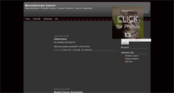 Desktop Screenshot of meso-thelioma-cancer.blogspot.com