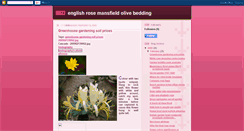 Desktop Screenshot of nupepime.blogspot.com