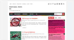 Desktop Screenshot of privete-seo.blogspot.com