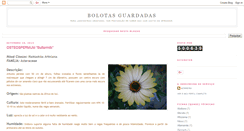 Desktop Screenshot of bolotasguardadas.blogspot.com