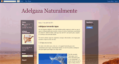 Desktop Screenshot of adelgazadeformanatural.blogspot.com