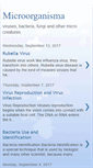 Mobile Screenshot of micro-organisma.blogspot.com
