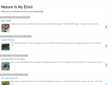 Tablet Screenshot of nature-elixir.blogspot.com