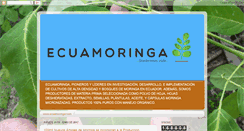 Desktop Screenshot of ecuamoringa.blogspot.com