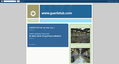 Desktop Screenshot of jb-guerletub.blogspot.com