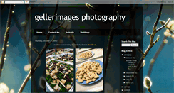 Desktop Screenshot of gellerimagesphotography.blogspot.com