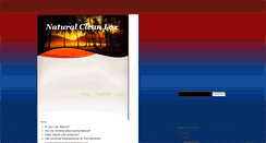 Desktop Screenshot of naturalcleanlox.blogspot.com