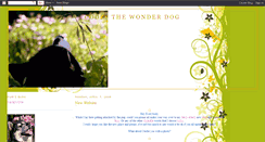 Desktop Screenshot of codesthewonderdog.blogspot.com