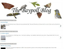 Tablet Screenshot of baypoll.blogspot.com