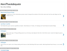 Tablet Screenshot of morethanadequate.blogspot.com