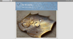 Desktop Screenshot of ourmsjourney.blogspot.com