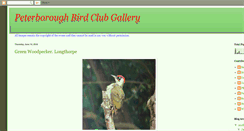 Desktop Screenshot of peterboroughbirdclub.blogspot.com