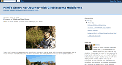 Desktop Screenshot of mimisstoryherjourneywithgbm.blogspot.com