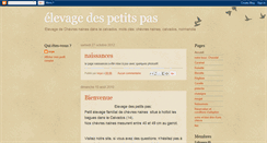 Desktop Screenshot of elevagedespetitspas.blogspot.com
