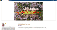 Desktop Screenshot of nzataatotarabirch.blogspot.com