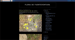 Desktop Screenshot of floradefuerteventura.blogspot.com