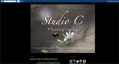 Desktop Screenshot of photosbyconstance.blogspot.com