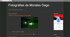 Desktop Screenshot of mgago.blogspot.com