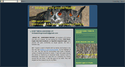 Desktop Screenshot of birdwatchingmadrid.blogspot.com