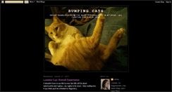 Desktop Screenshot of bumpingcats.blogspot.com