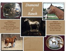 Tablet Screenshot of diamondjranch.blogspot.com