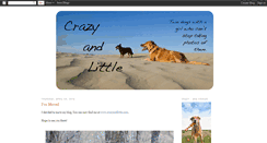 Desktop Screenshot of crazyandlittle.blogspot.com