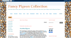 Desktop Screenshot of fancypigeoncolletion.blogspot.com