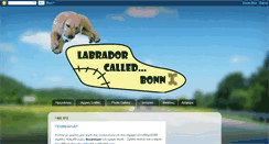 Desktop Screenshot of labradorbonny.blogspot.com