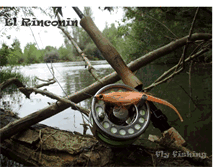 Tablet Screenshot of elrinconin-flyfishing.blogspot.com