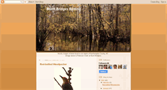 Desktop Screenshot of burntbridgesbirding.blogspot.com
