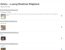 Tablet Screenshot of eshetu.blogspot.com