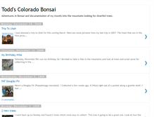 Tablet Screenshot of coloradobonsai.blogspot.com
