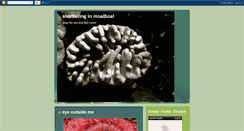 Desktop Screenshot of fabio-snorkeling.blogspot.com