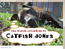 Tablet Screenshot of catfishjones.blogspot.com