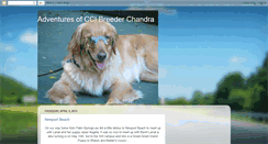 Desktop Screenshot of chandracci.blogspot.com