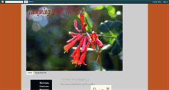 Desktop Screenshot of laughingwiththesun.blogspot.com