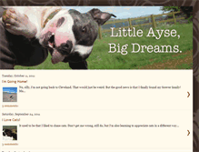 Tablet Screenshot of littleayse.blogspot.com