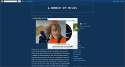 Desktop Screenshot of bunchohicks.blogspot.com