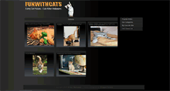 Desktop Screenshot of funwithcats.blogspot.com