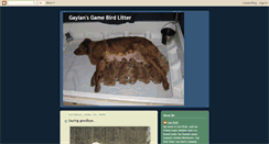 Desktop Screenshot of gamebirdlitter.blogspot.com