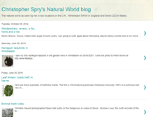 Tablet Screenshot of christopher-spry.blogspot.com