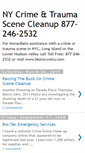 Mobile Screenshot of nytraumascenecleanup.blogspot.com