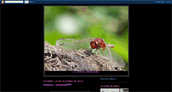 Desktop Screenshot of neurabstemia.blogspot.com