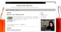 Desktop Screenshot of peluang-usaha74.blogspot.com