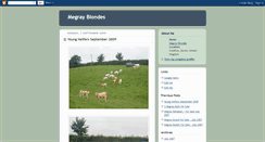 Desktop Screenshot of megrayblondes.blogspot.com