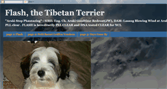 Desktop Screenshot of flashthetibetanterrier.blogspot.com