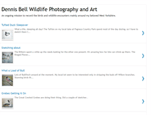 Tablet Screenshot of densbirding.blogspot.com