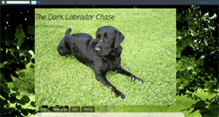 Desktop Screenshot of darklabradorchase.blogspot.com