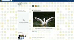 Desktop Screenshot of phytophoto.blogspot.com