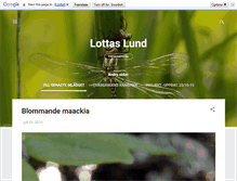 Tablet Screenshot of lottaslund.blogspot.com